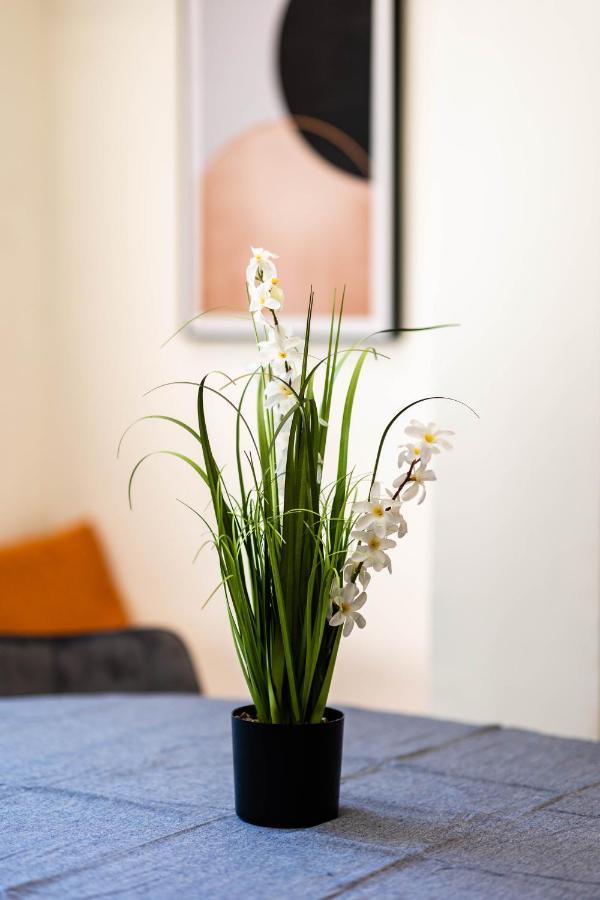Central On Hapalmach- 3-Bdr Apartment Ιερουσαλήμ Εξωτερικό φωτογραφία